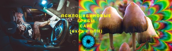 прущие грибы Слюдянка