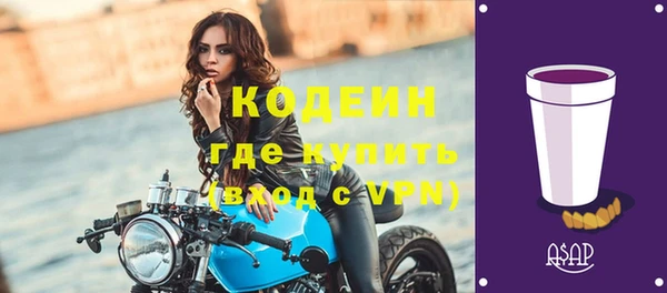 прущие грибы Слюдянка