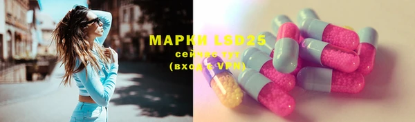 прущие грибы Слюдянка