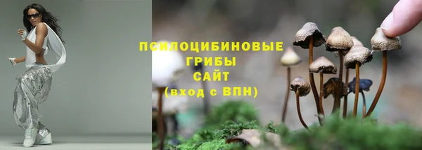 амфетамин Снежногорск