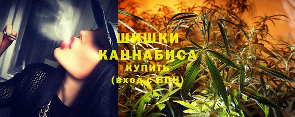 прущие грибы Слюдянка