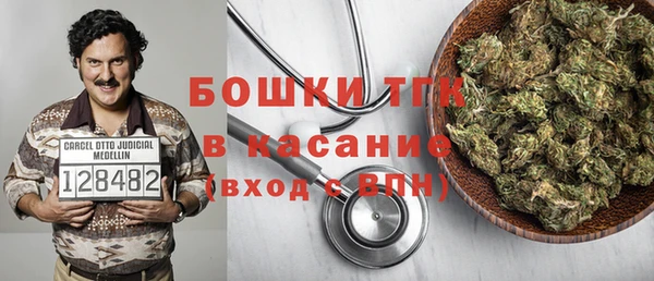 прущие грибы Слюдянка
