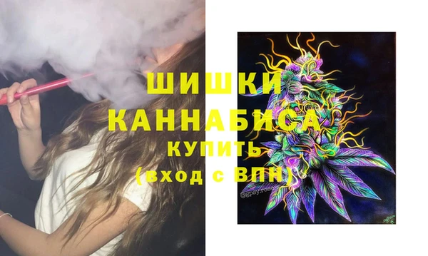 гашик Снежинск