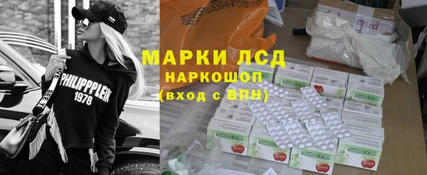 прущие грибы Слюдянка