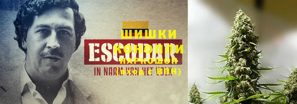 прущие грибы Слюдянка